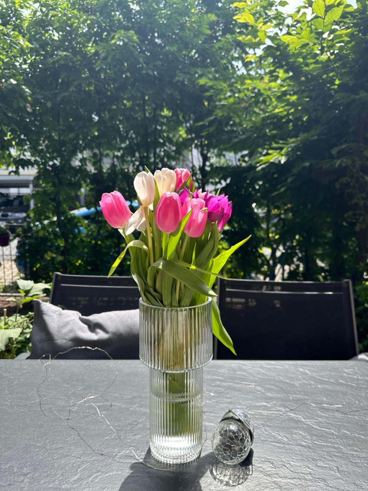 Fürth Luxus I Wohnkueche I Garten I Terrasse I Parkplatz מראה חיצוני תמונה
